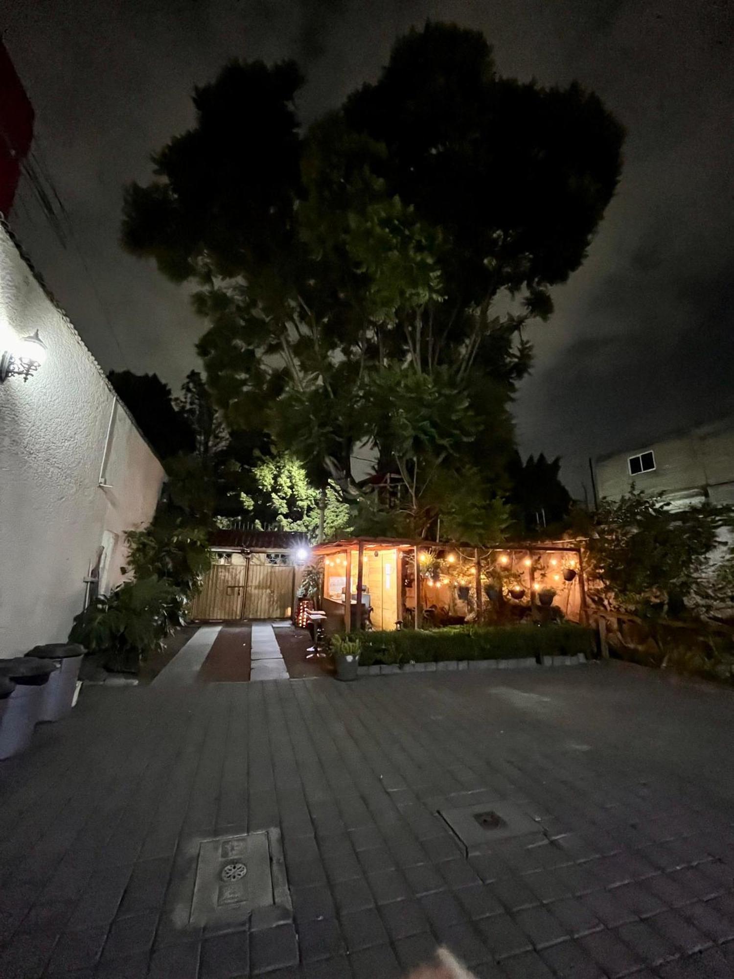 Апартаменты Casita Del Arbol Мехико Экстерьер фото