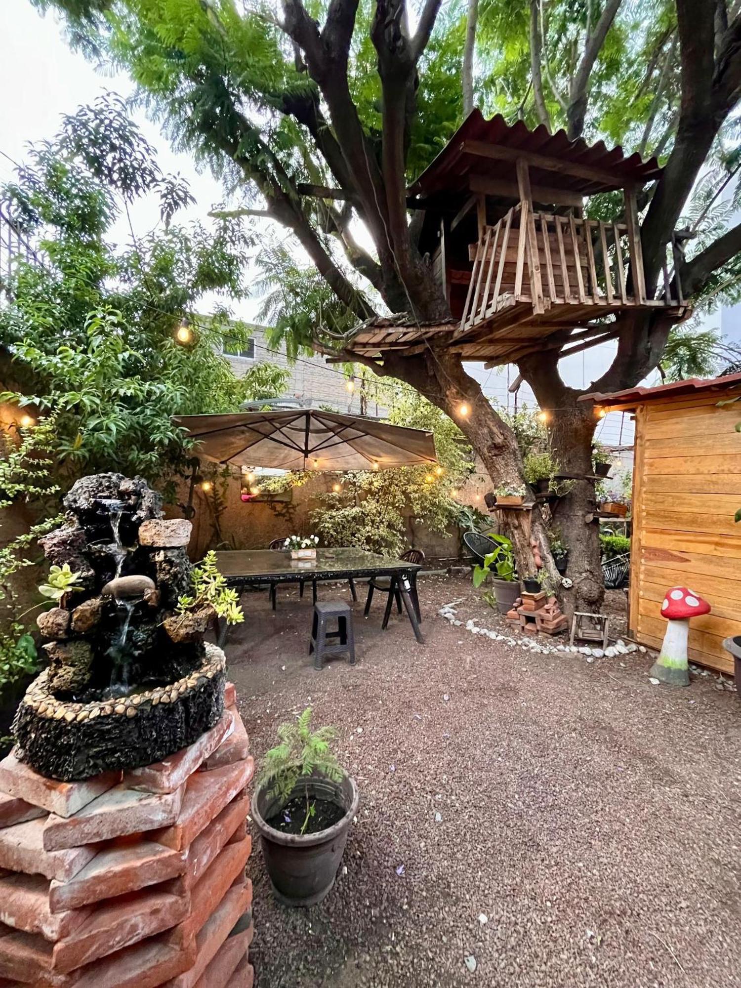 Апартаменты Casita Del Arbol Мехико Экстерьер фото