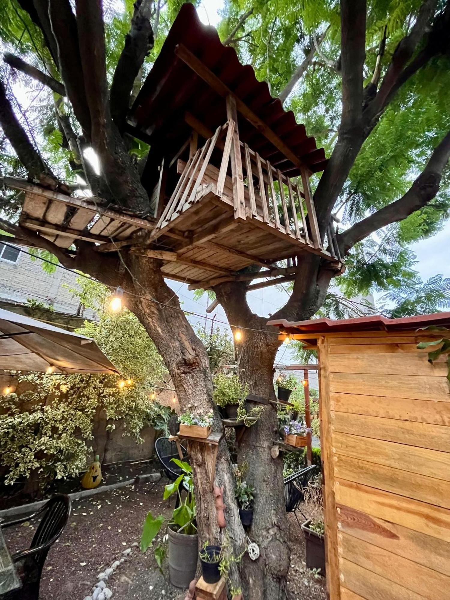 Апартаменты Casita Del Arbol Мехико Экстерьер фото