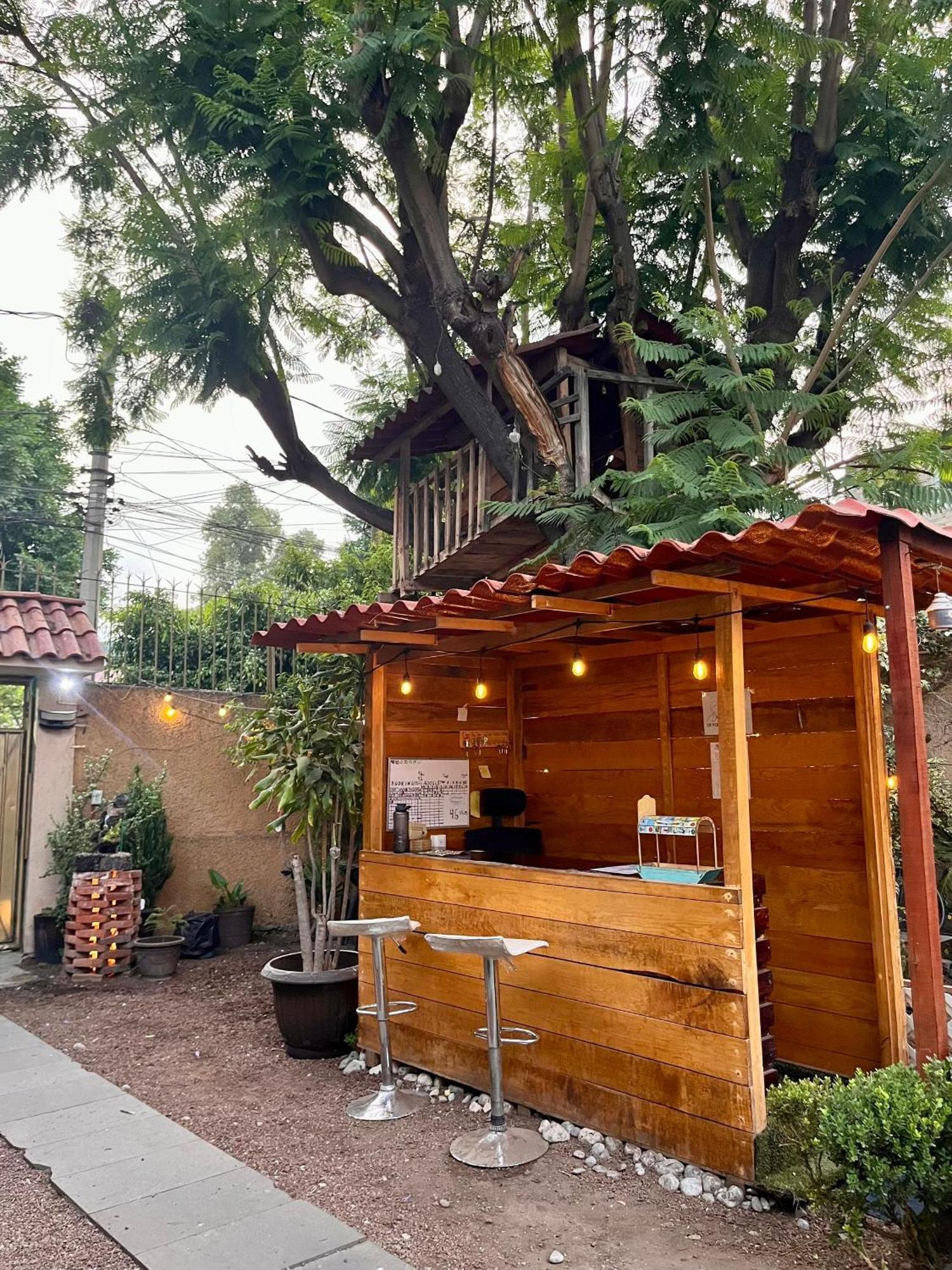 Апартаменты Casita Del Arbol Мехико Экстерьер фото
