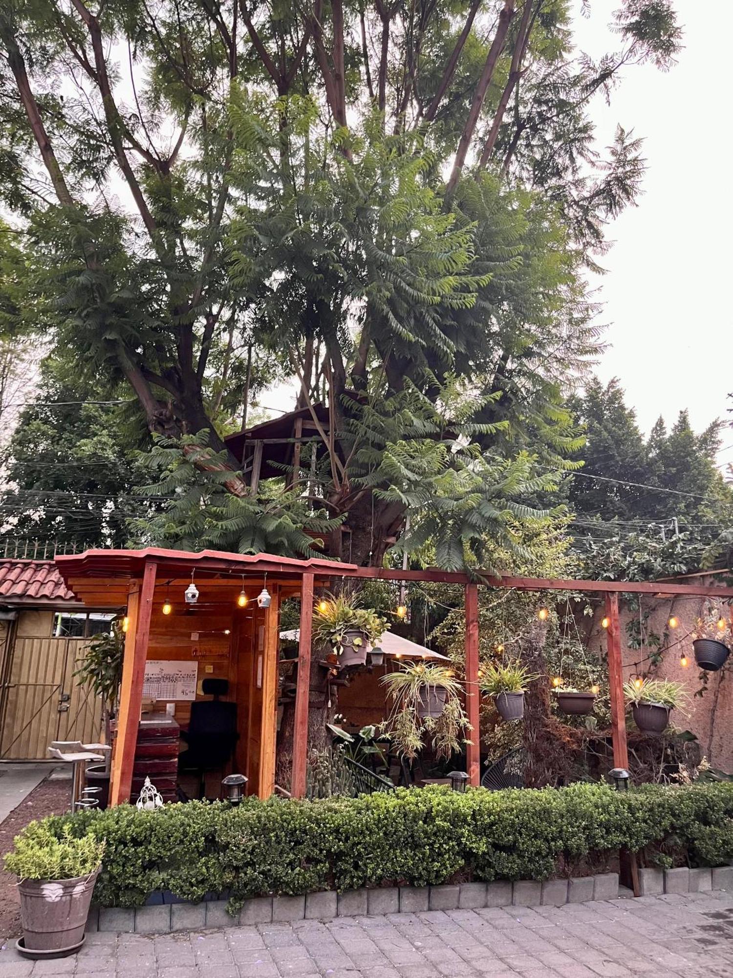 Апартаменты Casita Del Arbol Мехико Экстерьер фото